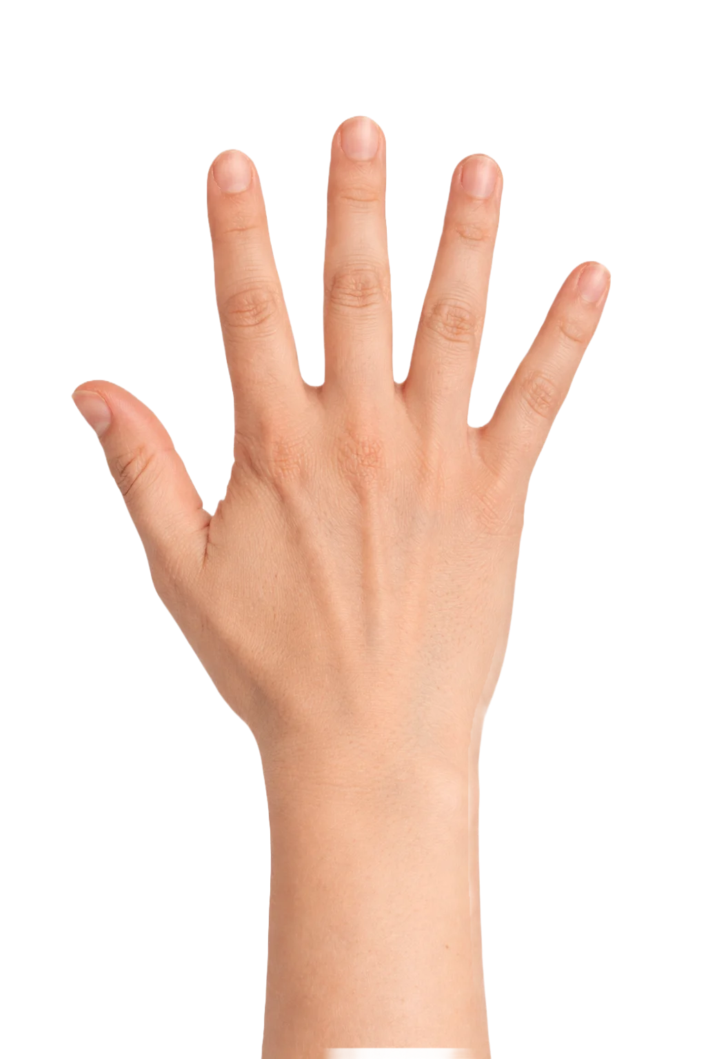 Hand